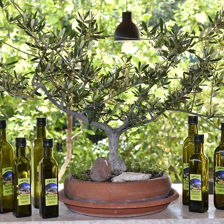 Апартаменти Irena Arvaj *