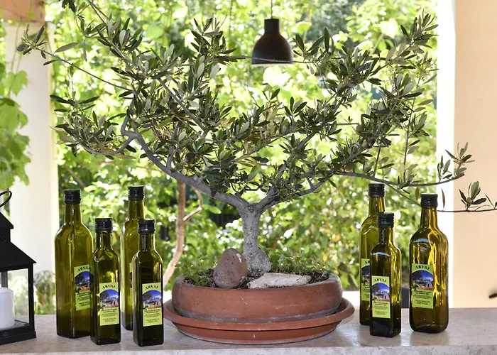 Апартаменти Irena Arvaj *